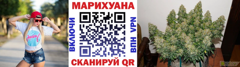 Канабис гибрид  купить   Санкт-Петербург 